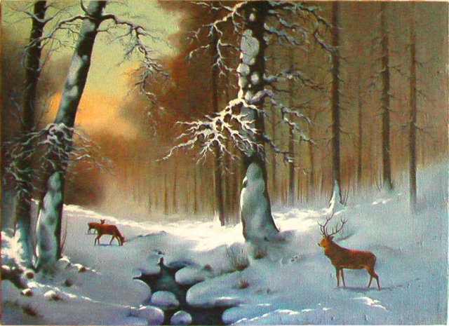 Morning in the winter forest